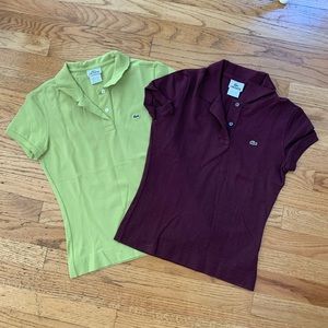 Lacoste polo bundle